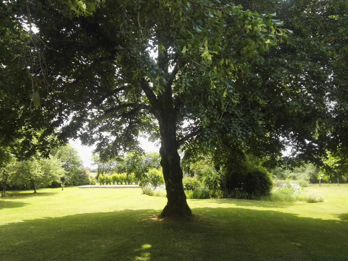 Le Chene Vert Millac  Exteriör bild